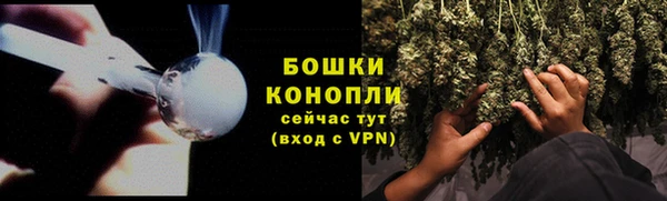 2c-b Богородицк