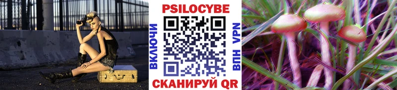 что такое   Няндома  Псилоцибиновые грибы GOLDEN TEACHER 